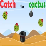 Catch The Cactus