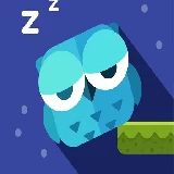 Owl Cant Sleep