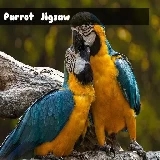 Parrot Jigsaw